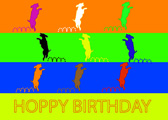 Hoppy Birthday card cover